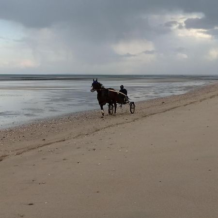 Gites "Plage" Ou "Pieds Dans L'Eau" En Front De Mer A Asnelles , 3Km D'Arromanches, 10Km De Bayeux Buitenkant foto