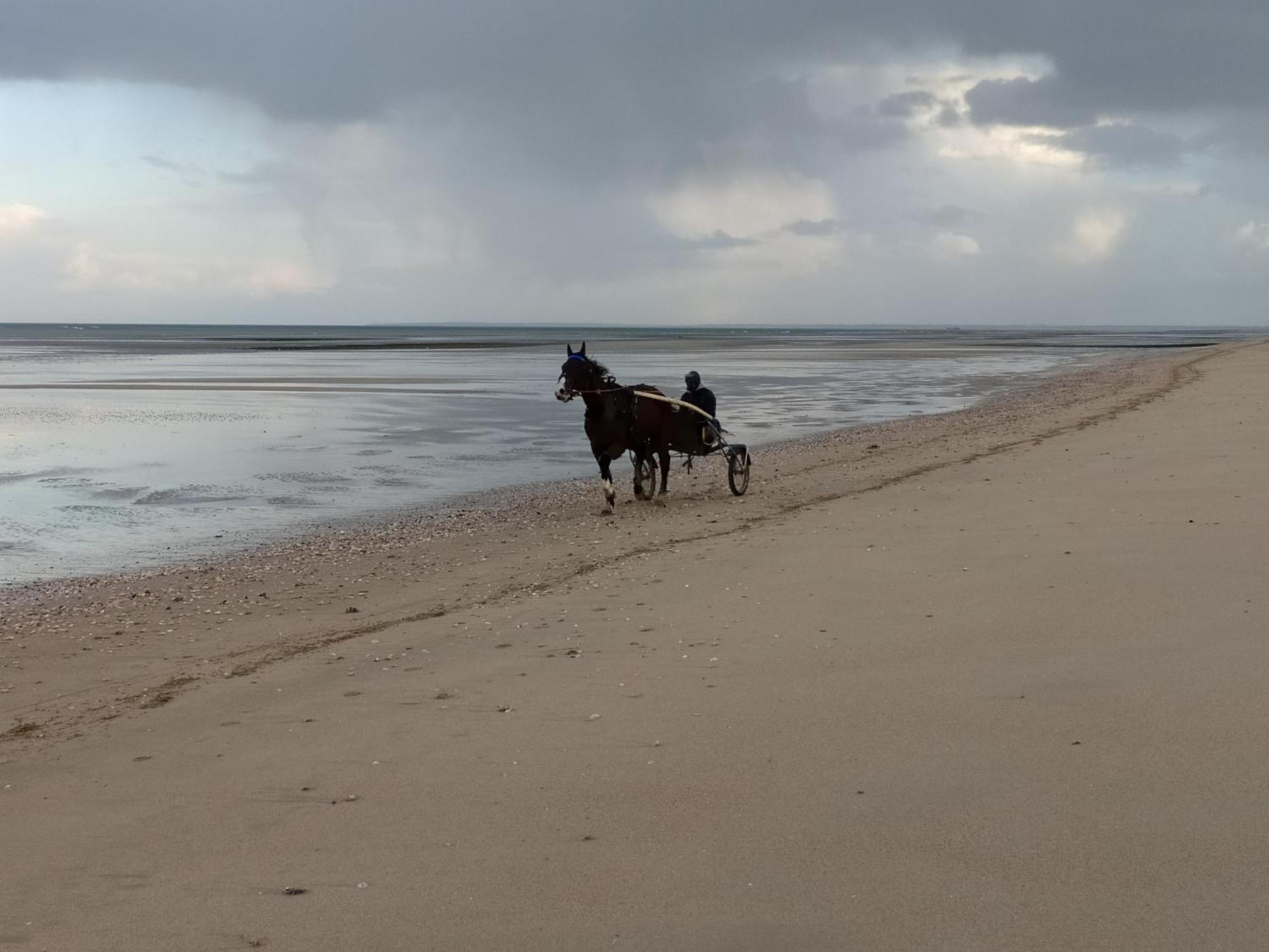 Gites "Plage" Ou "Pieds Dans L'Eau" En Front De Mer A Asnelles , 3Km D'Arromanches, 10Km De Bayeux Buitenkant foto